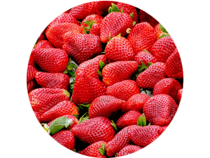 frische regionale Erdbeeren selbst pflücken oder pflückfrisch kaufen bei Erdbeeren Holzner
