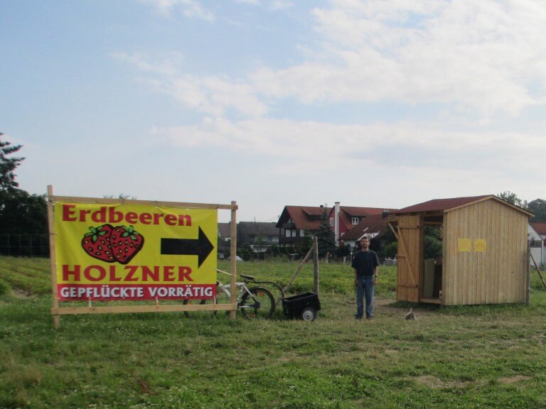Erdbeerfeld Mainburg von Erdbeeren Holzner - Erdbeeren selbst pflücken bei Erdbeeren Holzner in Mainburg