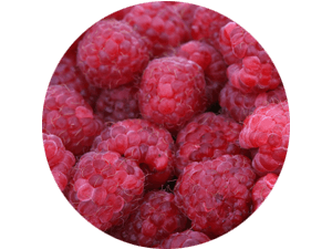 frische Himbeeren bei Erdbeeren Holzner selbst pflücken und kaufen