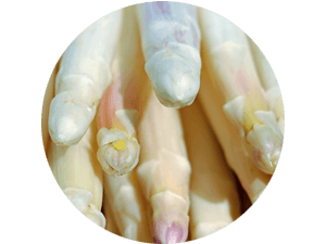 frischer_Spargel_Erdbeeren_Holzner-Home frischer regionaler Spargel pflückfrisch kaufen bei Erdbeeren Holzner