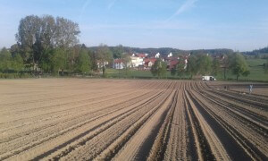 Erdbeeren Holzner - Erdbeerfeld Unterweilbach - ehemals Frantz Erdbeeren