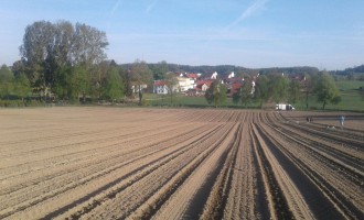 Erdbeeren Holzner - Erdbeerfeld Unterweilbach - ehemals Frantz Erdbeeren