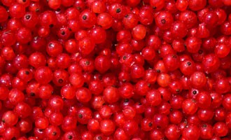 johannisbeeren